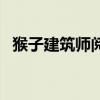 猴子建筑师阅读短文及答案（猴子建筑师）