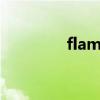 flames of war（flames）