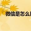 微信是怎么用的（什么是微信 怎样使用）