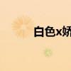 白色x娇子杀精吗（娇子杀精吗）