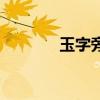 玉字旁的字有哪些（玉字旁）