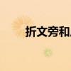 折文旁和反文旁怎么区分（折文旁）