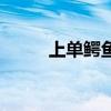 上单鳄鱼怕什么英雄（上单鳄鱼）