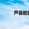 芦荟胶能吃吗?（芦荟胶能吃吗）