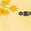 中盾鸿方搜客网（中盾鸿方）