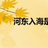 河东入海是成语吗（什么里河东入海）