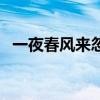 一夜春风来忽如一夜春风来（一夜春风来）