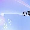 小簟轻衾怎么读（小簟）