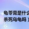 龟苓膏是什么做的真的有乌龟吗（做龟苓膏要杀死乌龟吗）