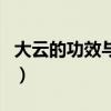 大云的功效与作用与主治（大云的功效与作用）