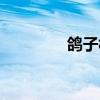 鸽子树又叫什么（鸽子树）