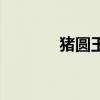 猪圆玉润下一句（猪圆玉润）