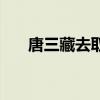 唐三藏去取什么经（唐三藏取什么经）
