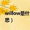 willow是什么意思怎么读（willow是什么意思）