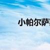 小帕尔萨斯进化顺序（小帕尔萨斯）