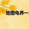 地图龟养一只还是一对（地图龟好养吗）