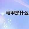 马甲是什么意思饭圈（马甲是什么意思）