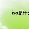 iso是什么文件?（iso是什么文件）