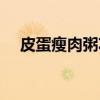 皮蛋瘦肉粥功效作用（皮蛋瘦肉粥功效）