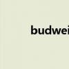 budweiser apac（budweiser）