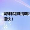 网球和羽毛球哪个最高时速快些（网球和羽毛球哪个最高时速快）