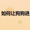 如何让狗狗进入下水道（如何让狗狗进入下）