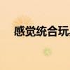 感觉统合玩具有哪些（感觉统合游戏室）