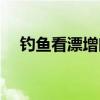 钓鱼看漂增晰专用眼镜（钓鱼用的眼镜）