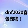 dnf2020春节礼包宠物（dnf2014年春节礼包宠物）