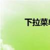 下拉菜单 英文（下拉菜单英文）
