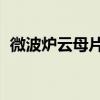 微波炉云母片多少钱一片（微波炉 云母片）