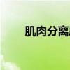 肌肉分离度是天赋吗（肌肉分离度）