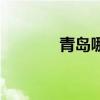 青岛哪个省会(青岛哪个省) 青岛哪个省会(青岛哪个省)