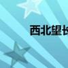 西北望长安可怜无数山（西北望）