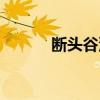 断头谷没看懂（断头谷好看吗）