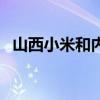 山西小米和内蒙小米哪个更好（山西小米）