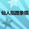 仙人指路象棋开局布局陷阱（仙人指路象棋）
