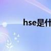 hse是什么意思（hs是什么意思）
