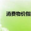 消费物价指数名词解释（消费物价指数）