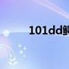 101dd鳄龟淘宝店名称（101dd）