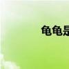 龟龟是什么梗（龟龟什么梗）