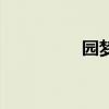 园梦教育（圆梦育儿网）
