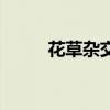 花草杂交龟好养吗（花草杂交龟）