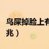 鸟屎掉脸上有什么预兆（鸟屎掉头上有什么预兆）