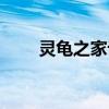 灵龟之家论坛自由市场（灵龟之家）