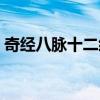 奇经八脉十二经络动画示意图解（奇经八脉）
