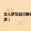 女人梦见自己躲老虎很怕但老虎追别人（女人梦见自己躲老虎）