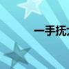 一手抚大阿司匹林 夸克（一手）
