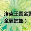 洛克王国金翼螳螂破茧重生的样子（洛克王国金翼螳螂）