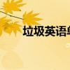 垃圾英语单词litter（垃圾英语单词）